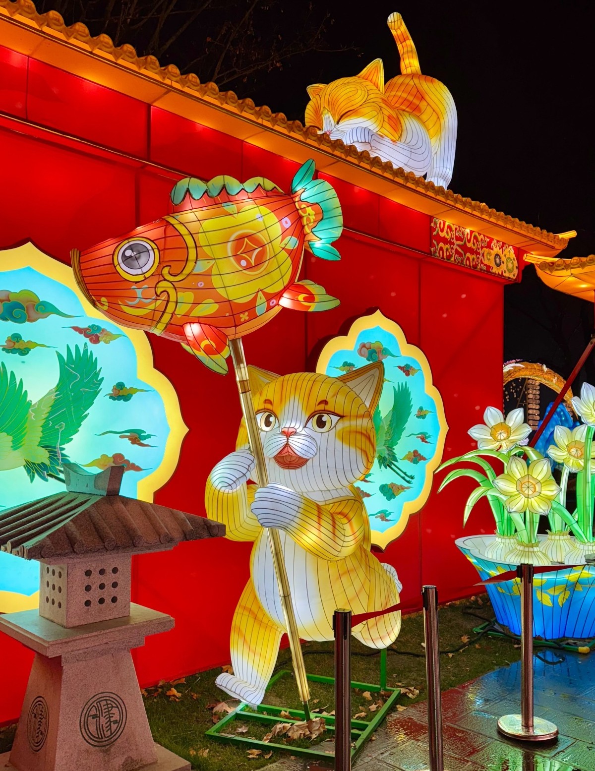 蠢猫花灯小狼很喜欢.jpg